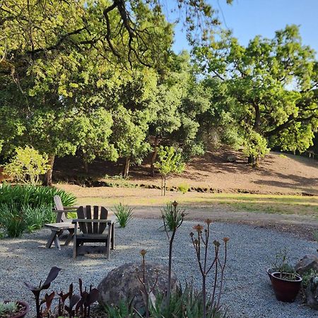 Amitabha Wine Country Cottage Santa Rosa Exterior foto