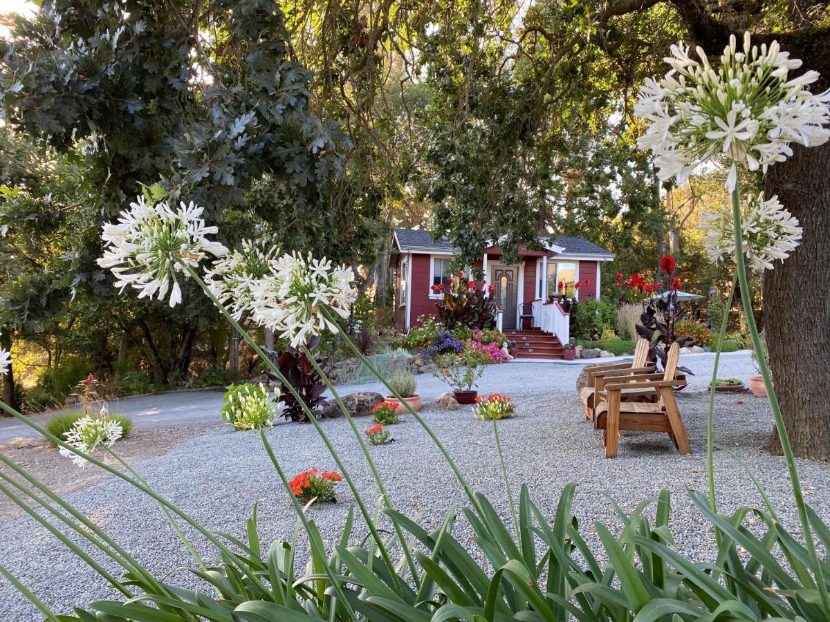 Amitabha Wine Country Cottage Santa Rosa Exterior foto